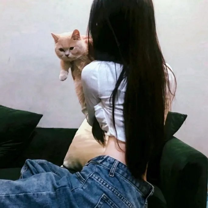 美的世界